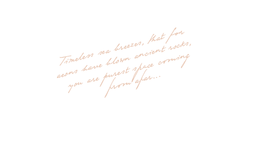 floating_text https://myspecialday.net/wp-content/uploads/2020/12/floating_text.png